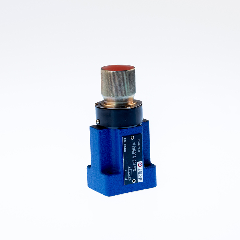 2FRM6 type flow control valve